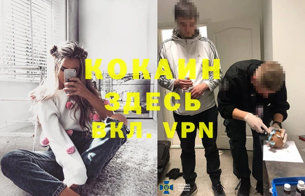 винт Алзамай