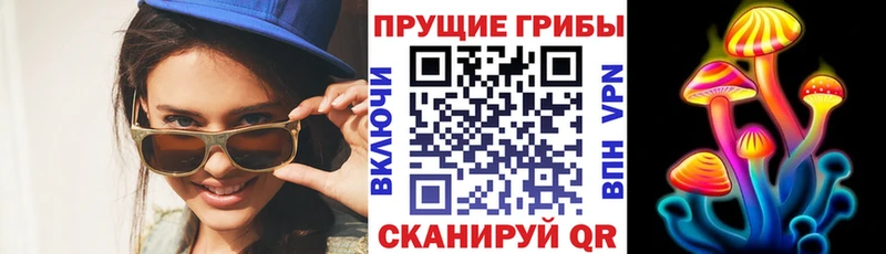 Псилоцибиновые грибы MAGIC MUSHROOMS Дудинка